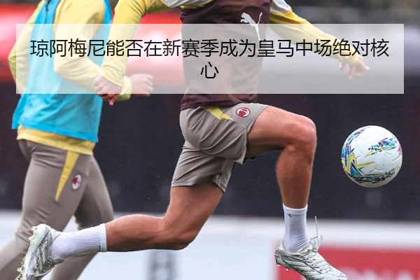 琼阿梅尼能否在新赛季成为皇马中场绝对核心